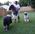 Eli catching air lands on Beau.jpg
