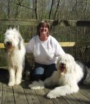 Molly Jil & Bentley.jpg