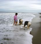 Not too fond of the water.JPG