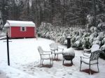 Snow Day 4.0.JPG