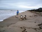 jil and wigglebums walking on beach.JPG