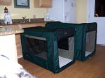 new travel crates.JPG