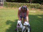 rescuedogs 400.jpg