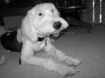 Baby May 1 (8).jpg