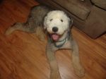 DSC02700.JPG