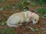 DSC02894.jpg