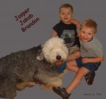my3boys.jpg