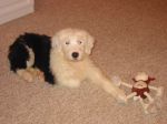 Baley-March 2004.jpg