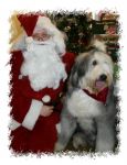 Baxter_Santa2 09.jpg