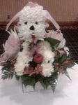 IMG00008-20090226-1008.jpg
