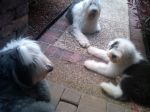 IMG00282-20120425-1859.jpg