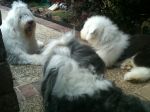 IMG00283-20120425-1900.jpg