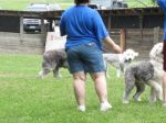 IMG_0554.JPG