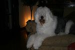 IMG_2542.JPG