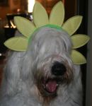 IMG_2758~0.JPG