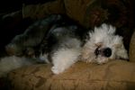 IMG_2775.JPG