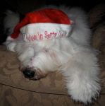 IMG_3361.JPG