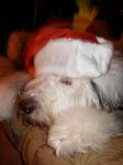 IMG_3375.JPG