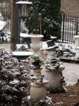 IMG_3645.JPG