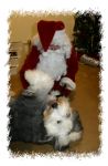 Santa Baxter Tummy2 09.jpg