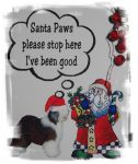 Santa Paws.jpg