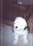 s 9 week picture.jpg