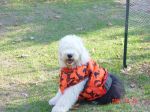 DSC00193.JPG