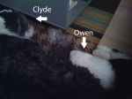 clyde_owen.jpg
