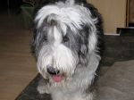 clyde~5.jpg