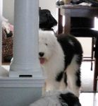 owen_hiding2.jpg