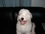 smile~1.jpg