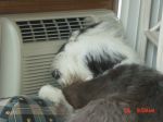 Ahhh!  Air Conditioning!.jpg