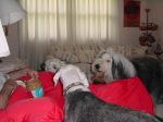 DSC00003_1.JPG