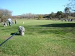 DSC00238.JPG
