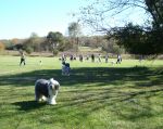 DSC00239.JPG