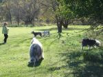 DSC00243.JPG