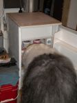 DSCN0120.JPG