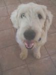 Murph1stdaysmile.jpg