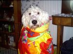 Image004~1.jpg
