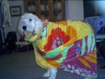 Image008~0.jpg