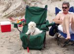 beach3.jpg