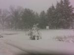 snow1.jpg