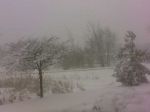 snow2.jpg