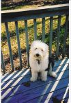 scan0005.jpg