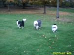 PICT0002.JPG