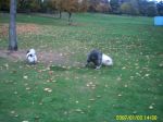 PICT0003.JPG