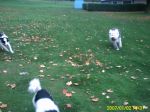 PICT0008.JPG