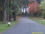 PICT0020.JPG