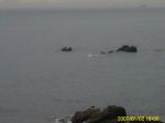 PICT0021.JPG