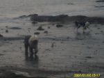 PICT0028.JPG